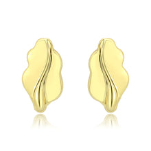 Load image into Gallery viewer, 3W1733G - Flash Gold Brass Earring with NoStone in No Stone
