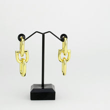 Load image into Gallery viewer, 3W1736G - Flash Gold Brass Earring with NoStone in No Stone