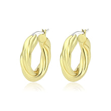 Load image into Gallery viewer, 3W1743G - Flash Gold Brass Earring with NoStone in No Stone