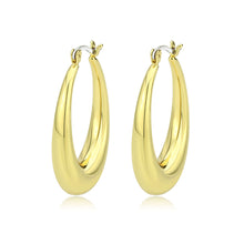 Load image into Gallery viewer, 3W1749G - Flash Gold Brass Earring with NoStone in No Stone