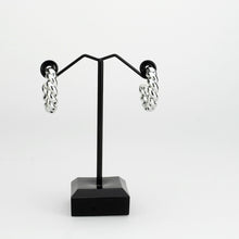 Load image into Gallery viewer, 3W1761 - Imitation Rhodium Brass Earring with NoStone in No Stone