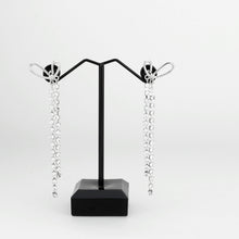 Load image into Gallery viewer, 3W1768 - Imitation Rhodium Brass Earring with Top Grade Crystal in Clear