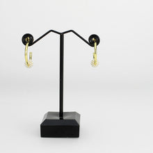 Load image into Gallery viewer, 3W1774 - Flash Gold Brass Earring with Synthetic in White