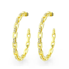 Load image into Gallery viewer, 3W1735G - Flash Gold Brass Earring with AAA Grade CZ in Clear