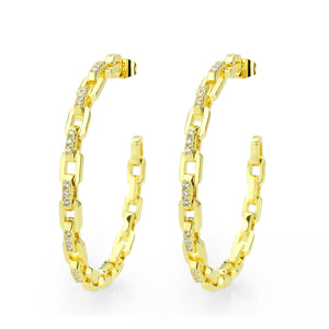 3W1735G - Flash Gold Brass Earring with AAA Grade CZ in Clear