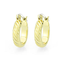 Load image into Gallery viewer, 3W1745G - Flash Gold Brass Earring with NoStone in No Stone