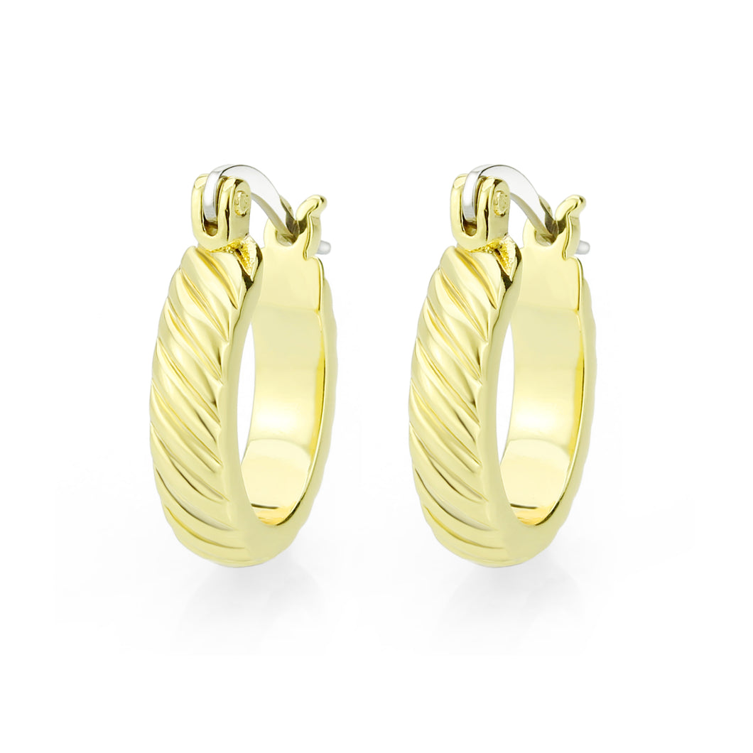 3W1745G - Flash Gold Brass Earring with NoStone in No Stone