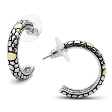 Load image into Gallery viewer, 3W335 - Reverse Two-Tone Brass Earrings with Epoxy  in Jet