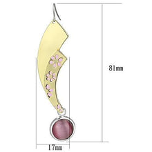 Load image into Gallery viewer, LO2731 - Gold+Rhodium Iron Earrings with Synthetic Cat Eye in Rose