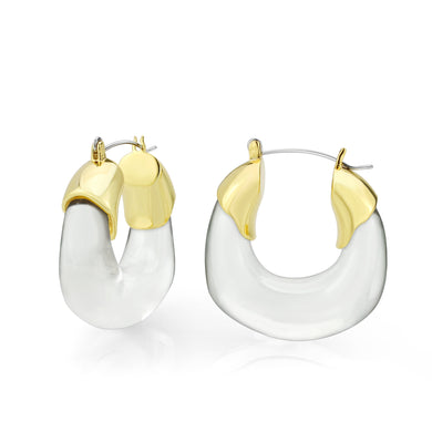 3W1738G - Flash Gold Brass Earring with Synthetic in Clear