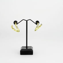 Load image into Gallery viewer, 3W1742G - Flash Gold Brass Earring with NoStone in No Stone
