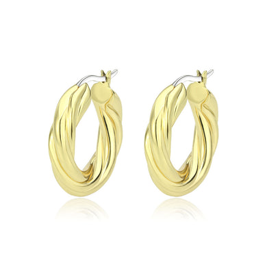 3W1743G - Flash Gold Brass Earring with NoStone in No Stone