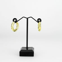 Load image into Gallery viewer, 3W1743G - Flash Gold Brass Earring with NoStone in No Stone