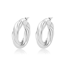 Load image into Gallery viewer, 3W1743 - Imitation Rhodium Brass Earring with NoStone in No Stone