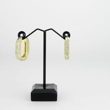 Load image into Gallery viewer, 3W1748G - Flash Gold Brass Earring with Top Grade Crystal in Clear