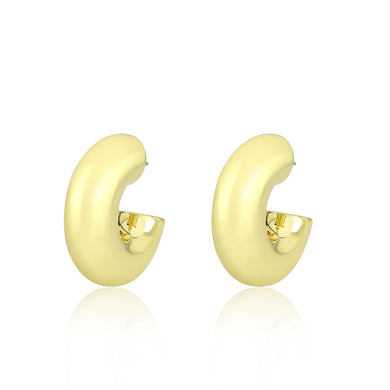 3W1751G - Flash Gold Brass Earring with NoStone in No Stone