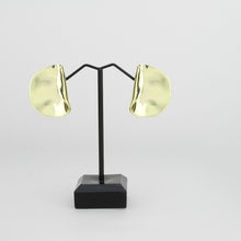 Load image into Gallery viewer, 3W1760G - Flash Gold Brass Earring with NoStone in No Stone