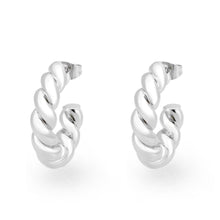 Load image into Gallery viewer, 3W1761 - Imitation Rhodium Brass Earring with NoStone in No Stone