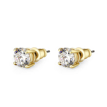 Load image into Gallery viewer, LO5W110 - Rhodium Brass Earrings with AAA Grade CZ  in Clear