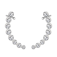 Load image into Gallery viewer, 3W1635 - High polished (no plating) Stainless Steel Earring with Top Grade Crystal in Clear