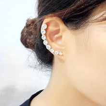 Load image into Gallery viewer, 3W1635 - High polished (no plating) Stainless Steel Earring with Top Grade Crystal in Clear