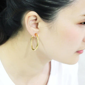 LO4682 - Gold Brass Earrings with No Stone