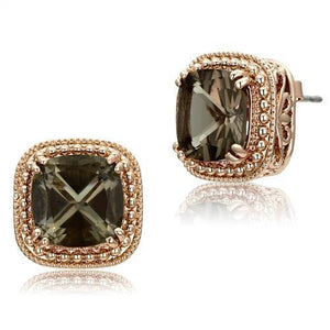 TK1674 - IP Rose Gold(Ion Plating) Stainless Steel Earrings with Genuine Stone  in Brown