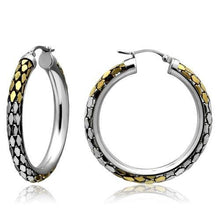 Load image into Gallery viewer, TK430 - Gold+Rhodium Stainless Steel Earrings with No Stone